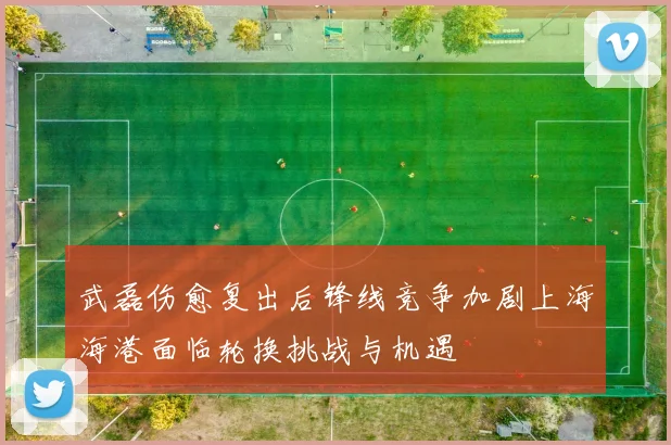 武磊伤愈复出后锋线竞争加剧上海海港面临轮换挑战与机遇